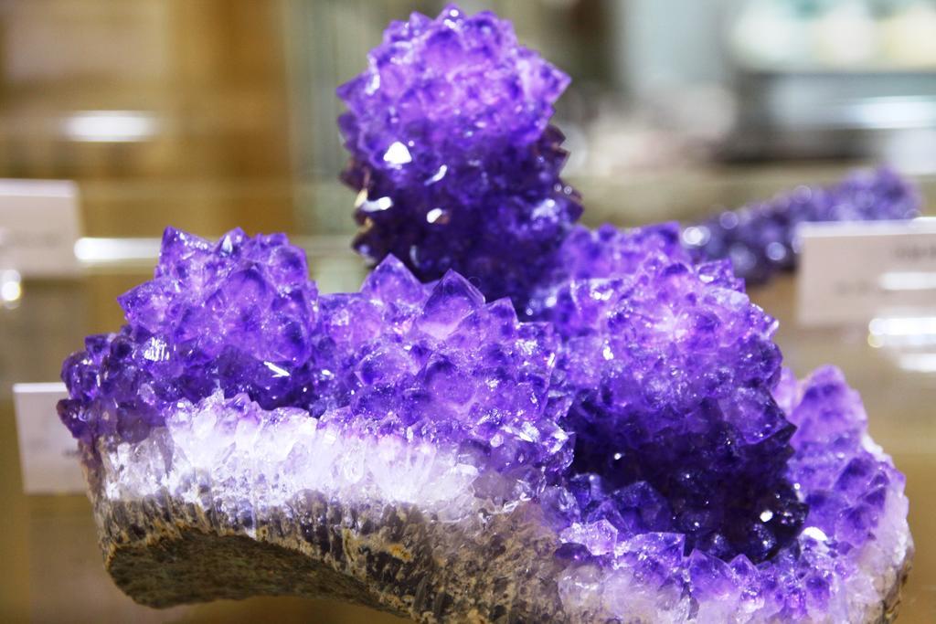 Fewo Purper Frauenberg Екстериор снимка